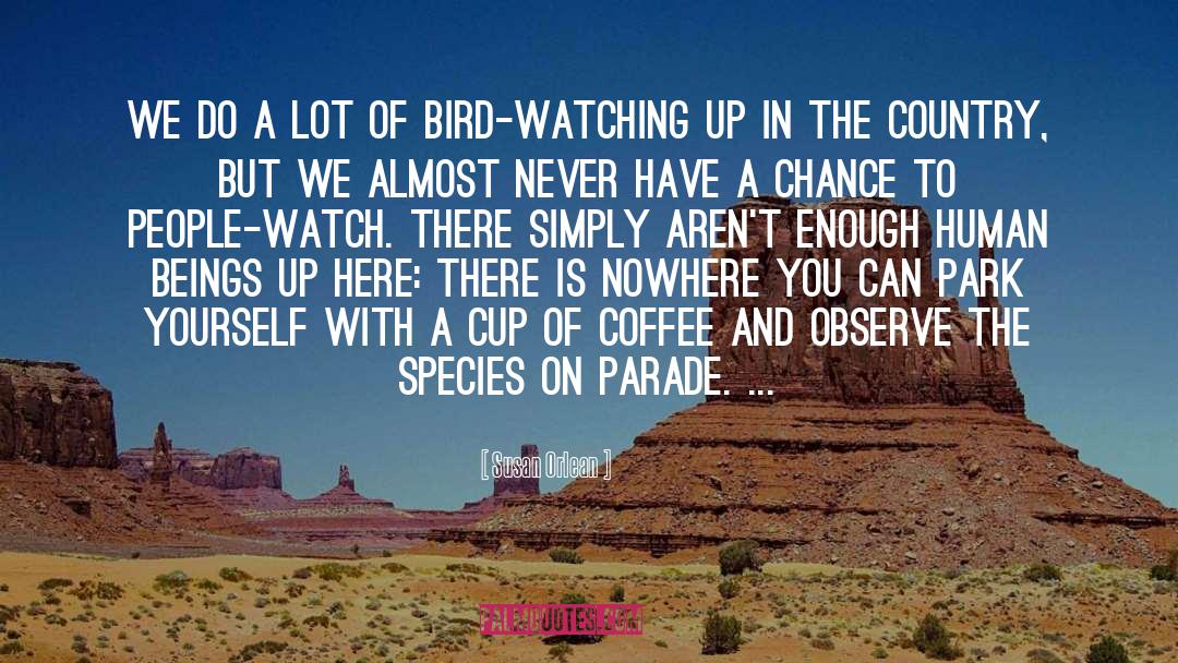 Bird Watching quotes by Susan Orlean
