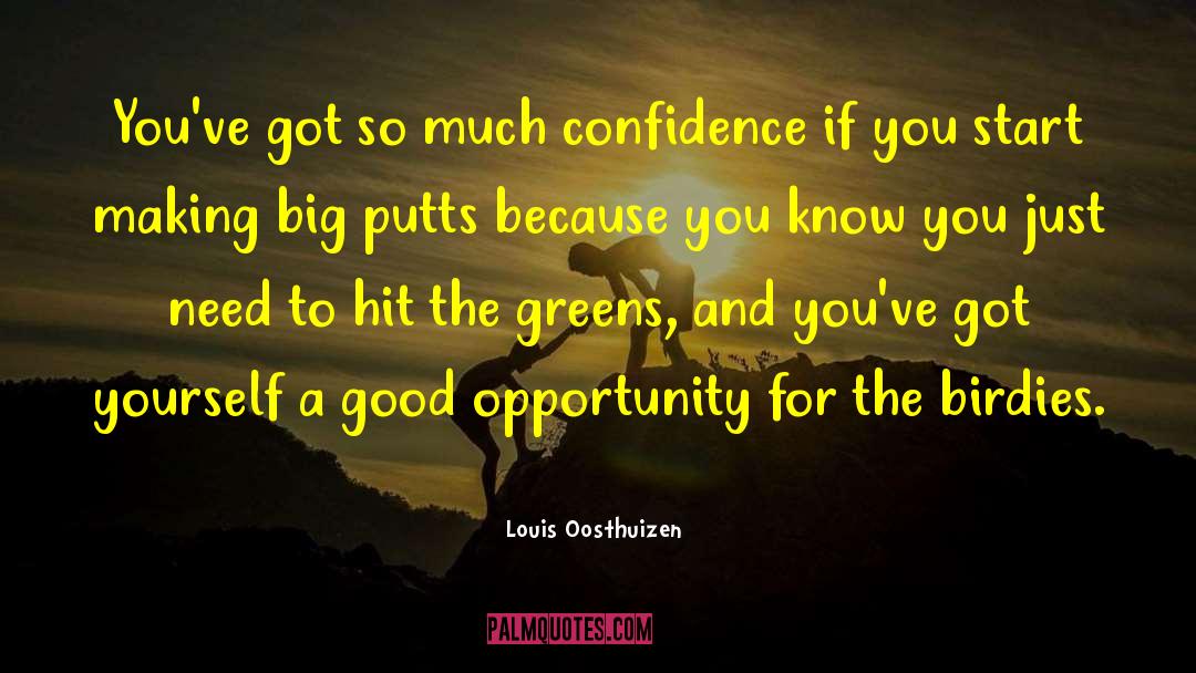 Birdies Nolensville quotes by Louis Oosthuizen