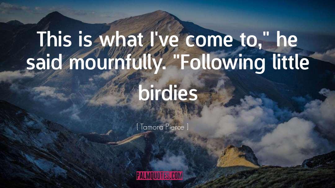 Birdies Nolensville quotes by Tamora Pierce