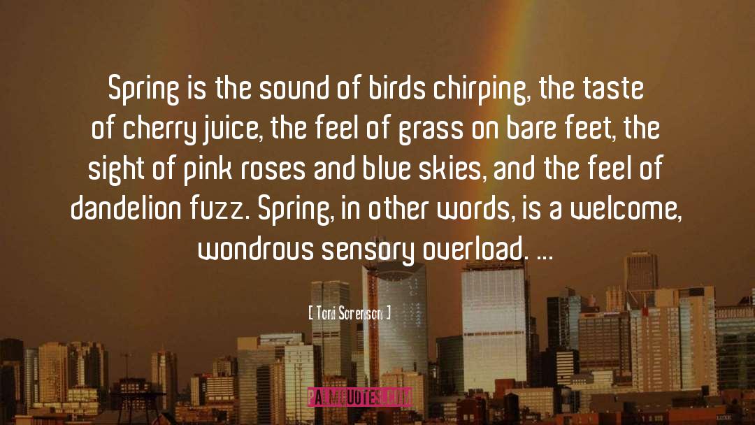 Birds Chirping quotes by Toni Sorenson