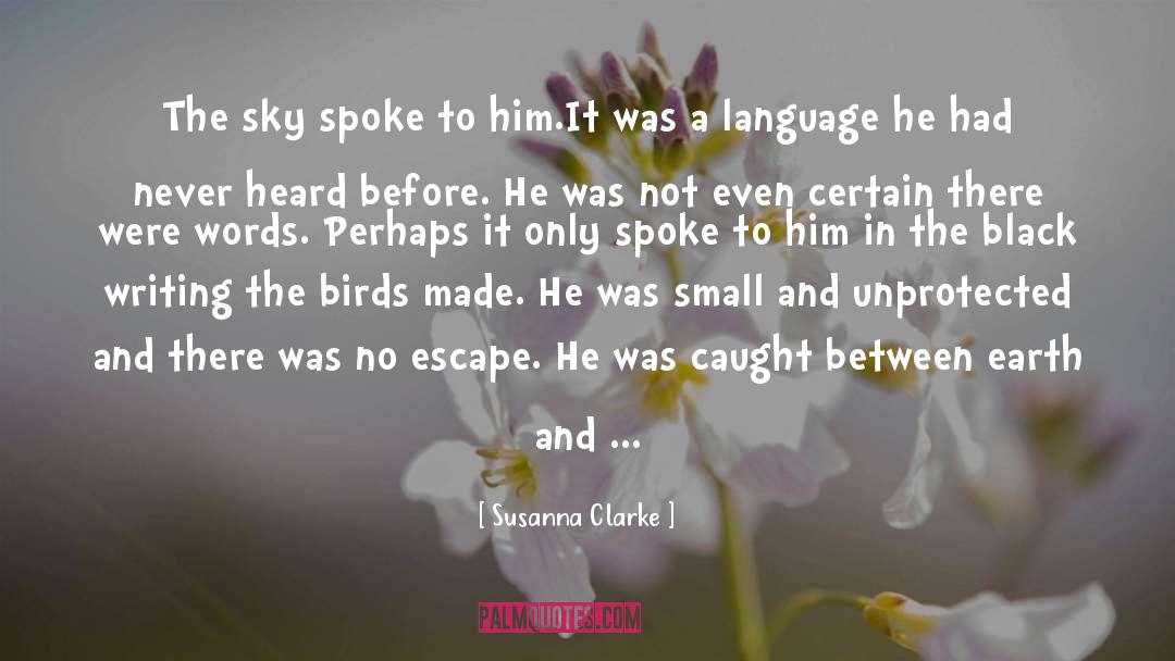 Birds Chorus quotes by Susanna Clarke