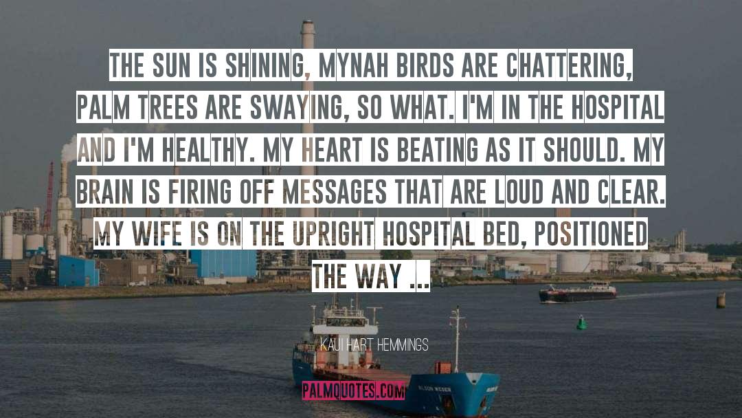 Birds In Flight quotes by Kaui Hart Hemmings