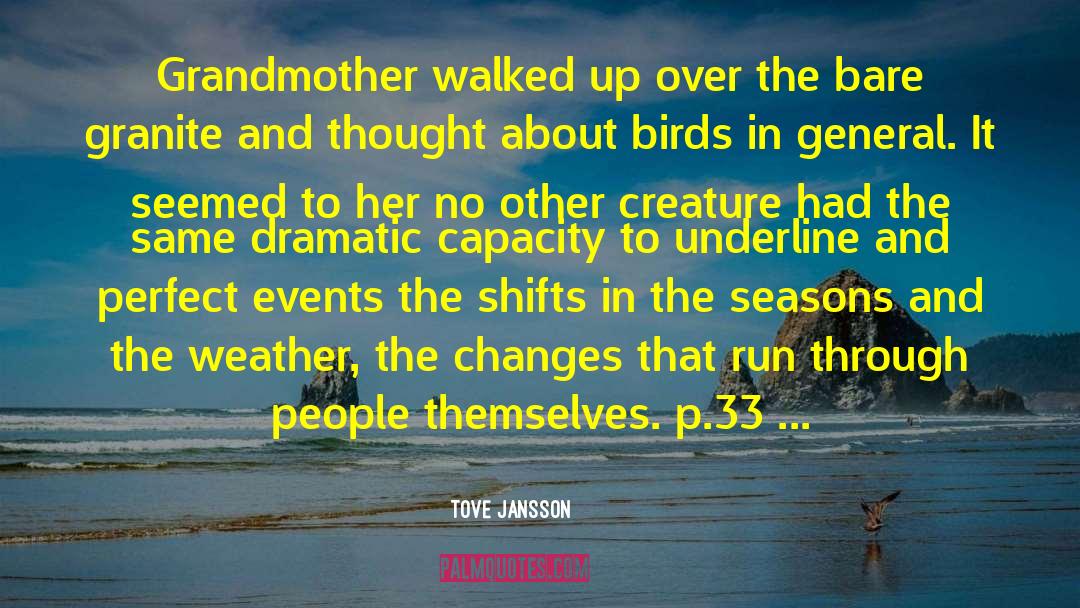 Birds In Flight quotes by Tove Jansson