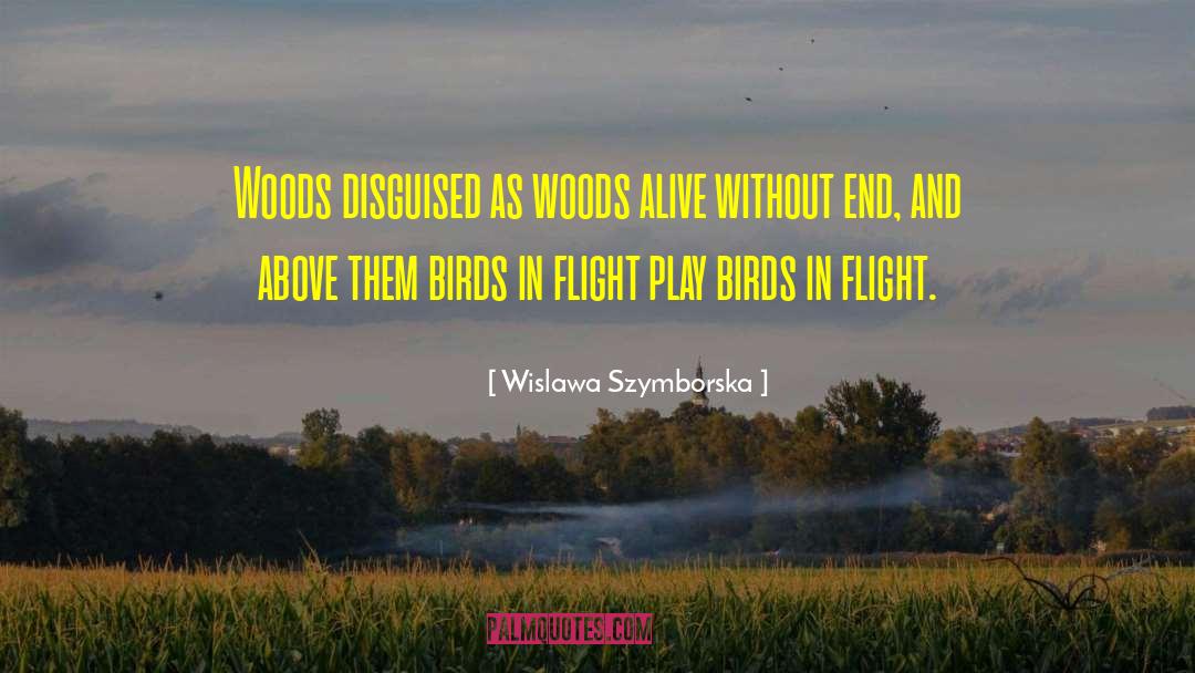 Birds In Flight quotes by Wislawa Szymborska