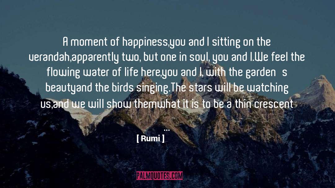 Birds In Flight quotes by Rumi
