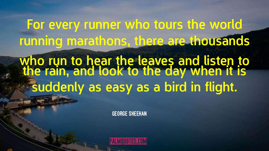 Birds In Flight quotes by George Sheehan