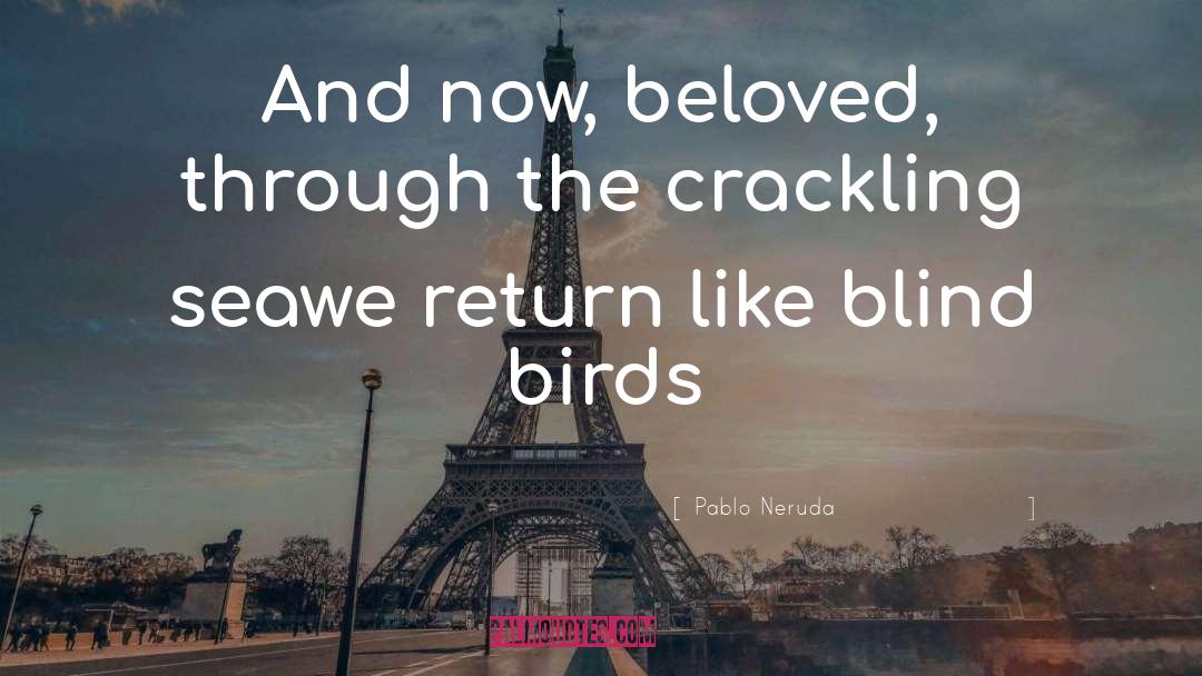 Birds N Bees quotes by Pablo Neruda