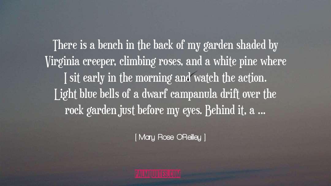 Birds N Bees quotes by Mary Rose O'Reilley