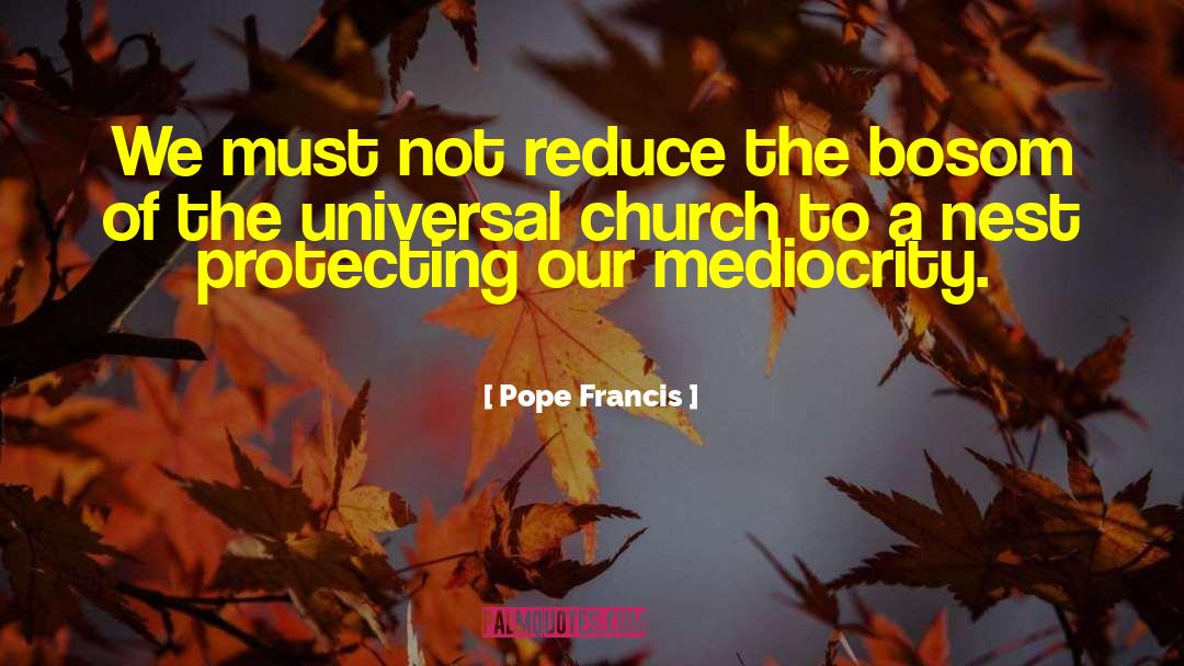 Birds Nest quotes by Pope Francis