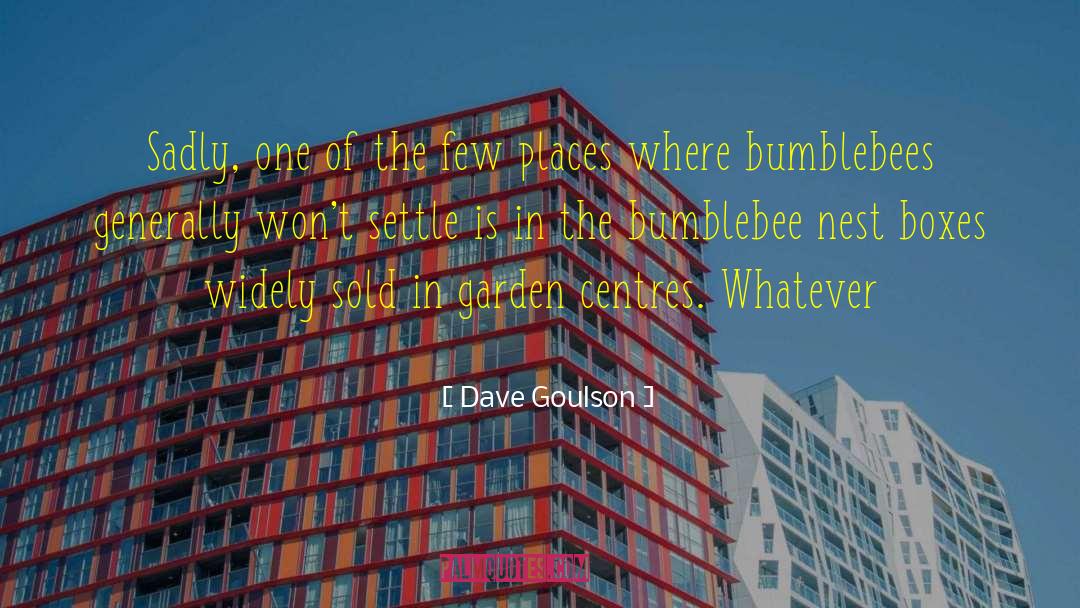 Birds Nest quotes by Dave Goulson