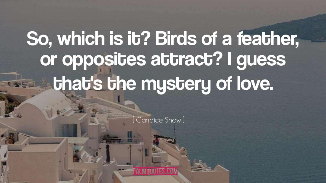 Birds Nest quotes by Candice Snow