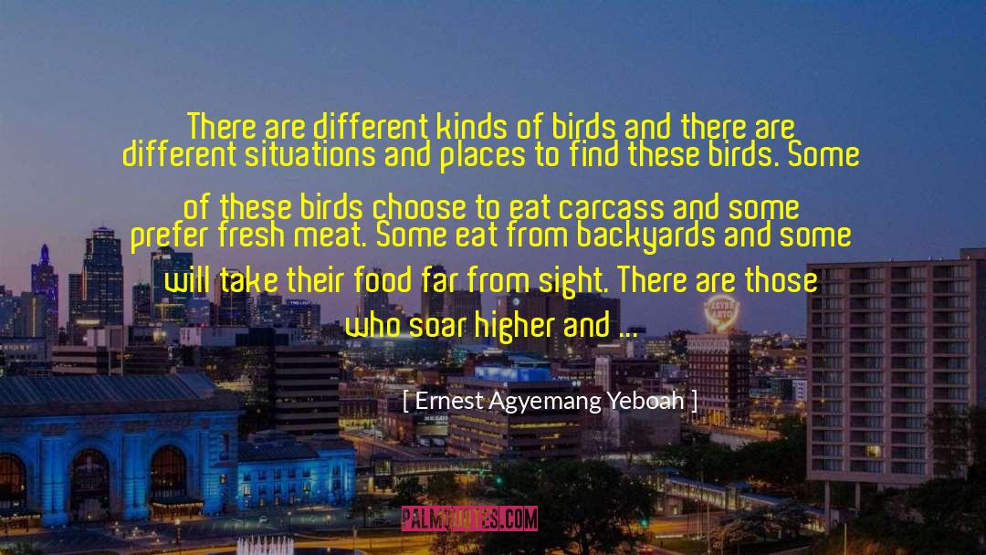 Birds Of A Feather quotes by Ernest Agyemang Yeboah