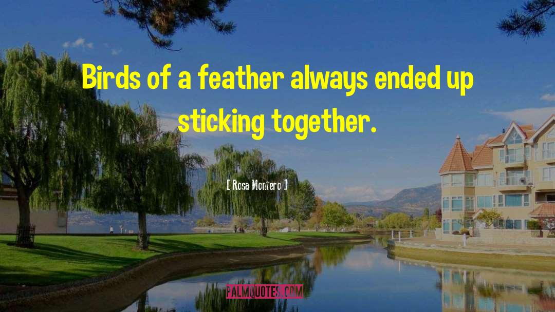 Birds Of A Feather quotes by Rosa Montero