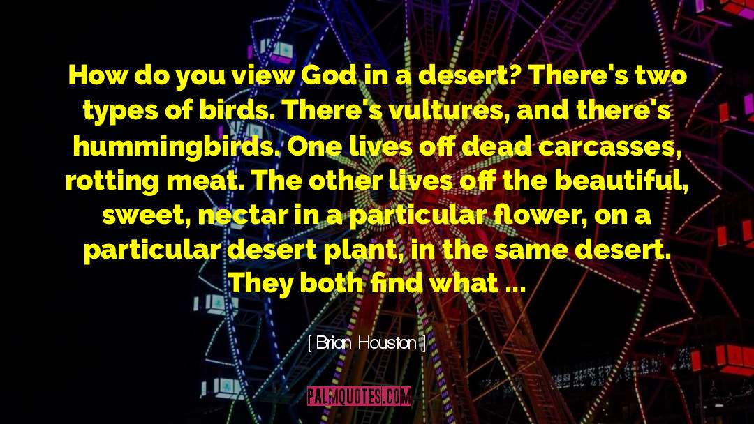 Birds On Wire quotes by Brian Houston
