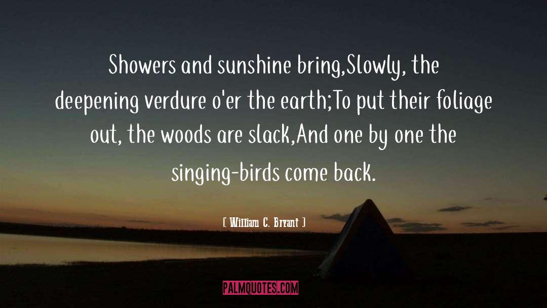Birds quotes by William C. Bryant