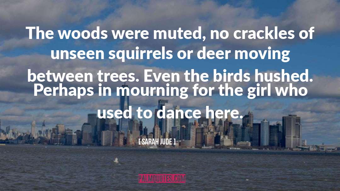 Birds quotes by Sarah Jude