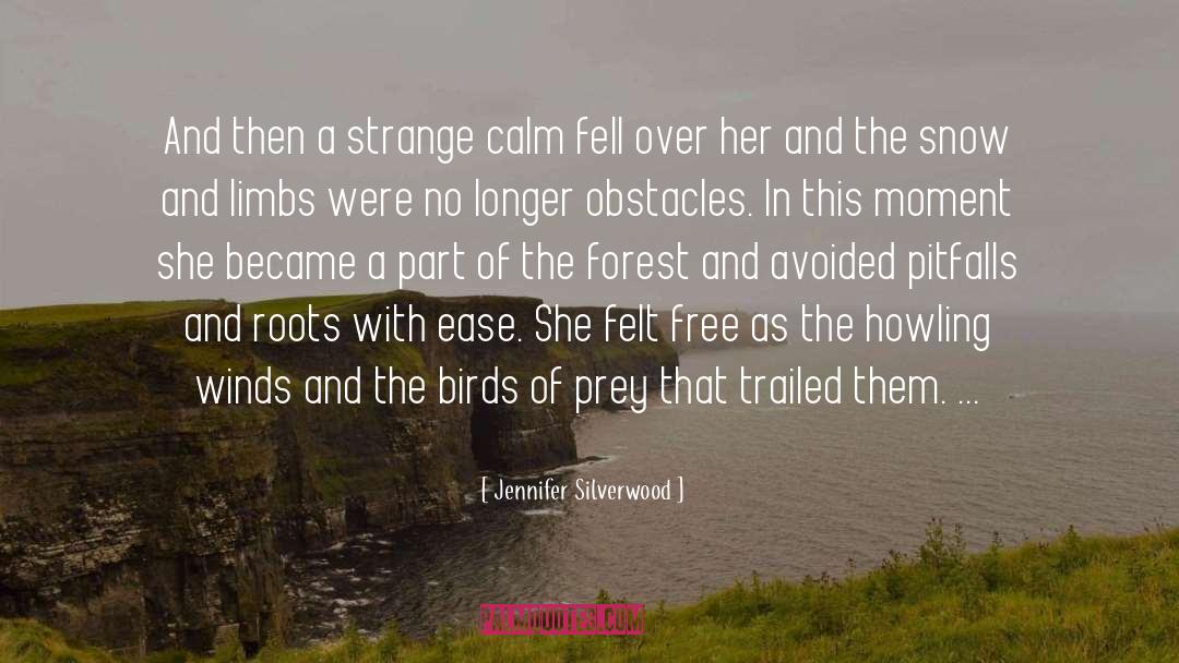 Birds quotes by Jennifer Silverwood