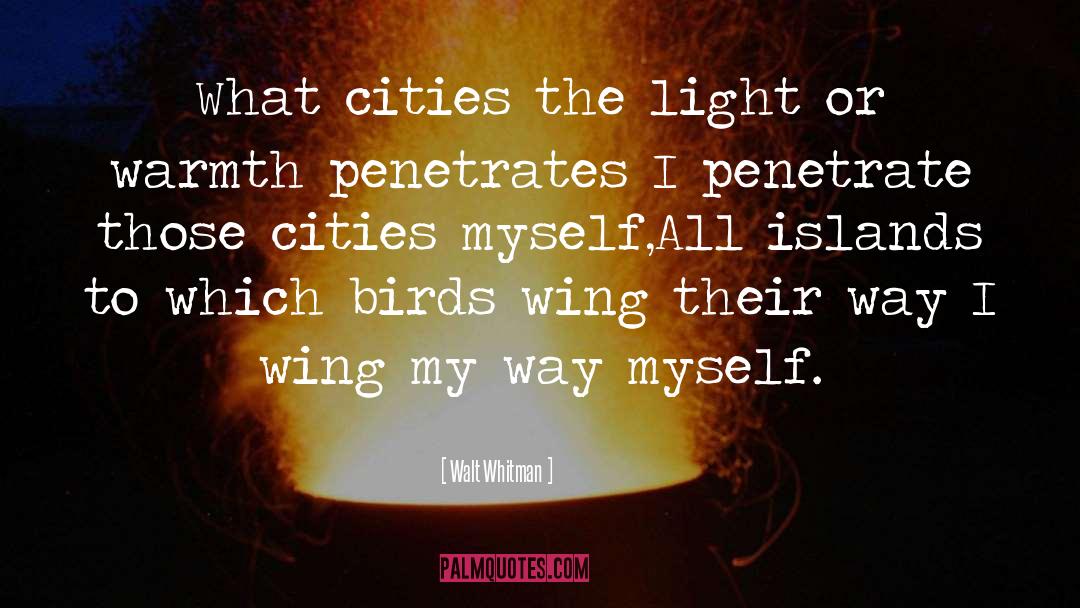 Birds quotes by Walt Whitman