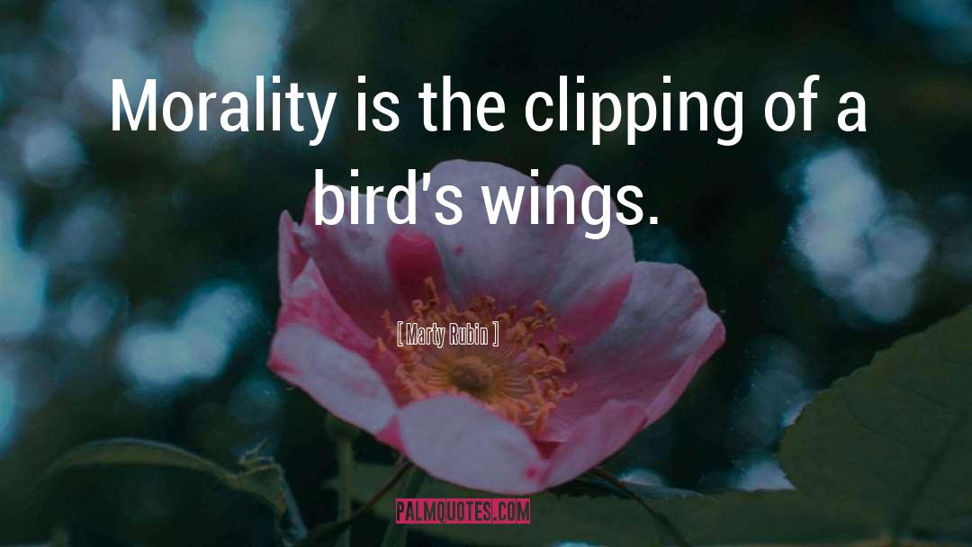 Birds quotes by Marty Rubin