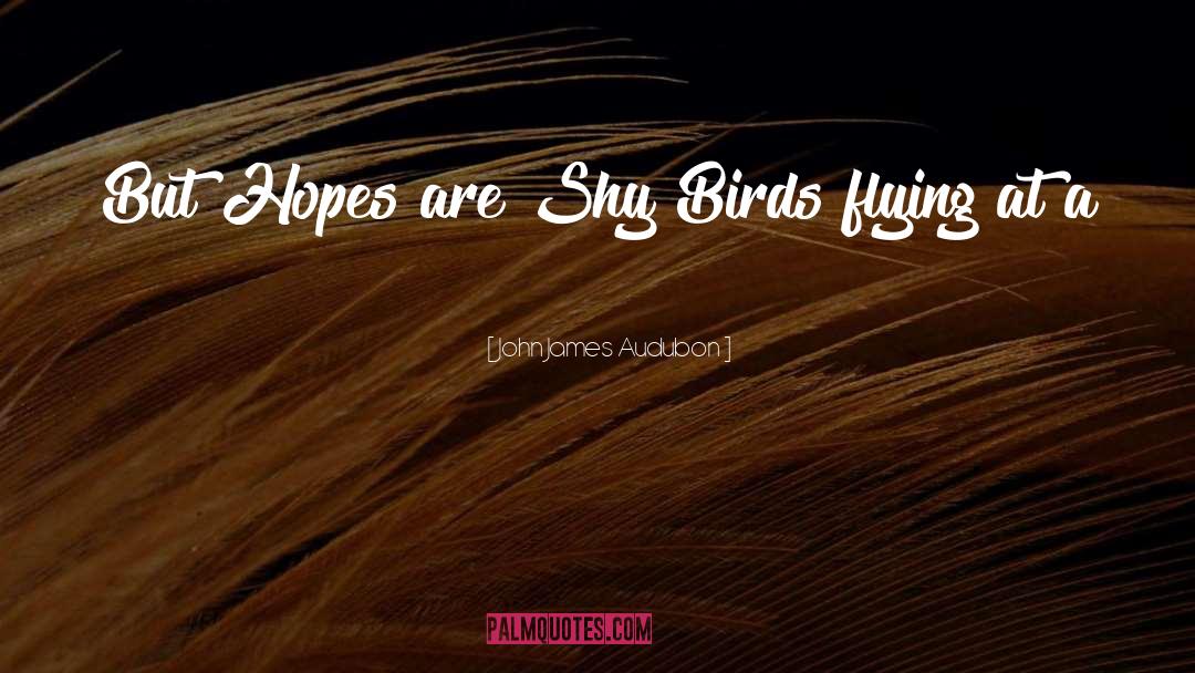 Birds quotes by John James Audubon