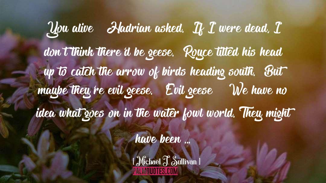 Birds quotes by Michael J. Sullivan