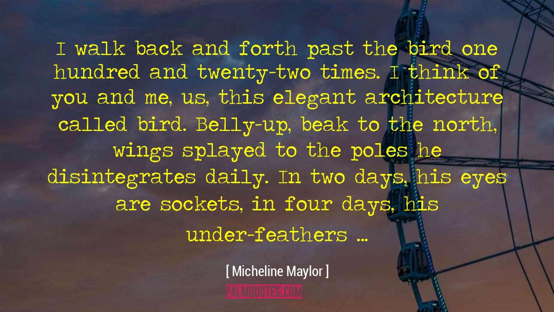 Birds Wings quotes by Micheline Maylor