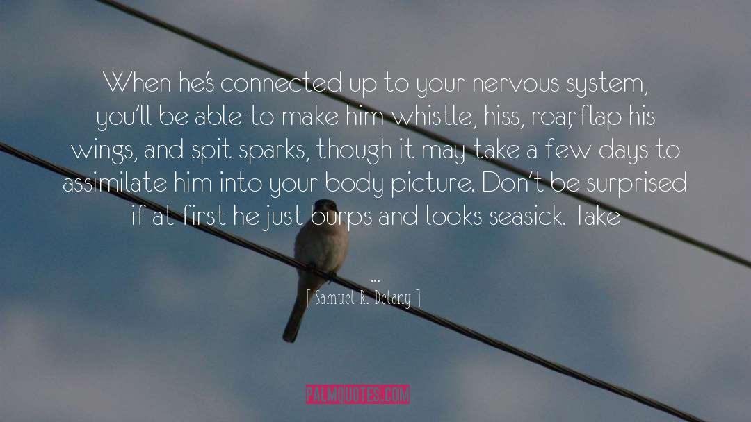 Birds Wings quotes by Samuel R. Delany