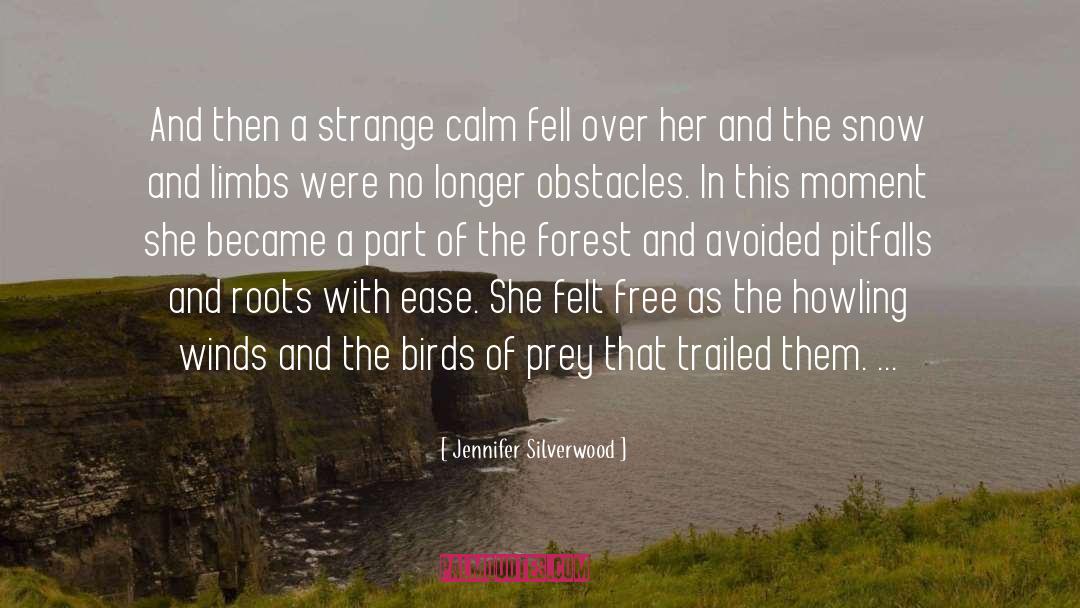 Birds Wings quotes by Jennifer Silverwood