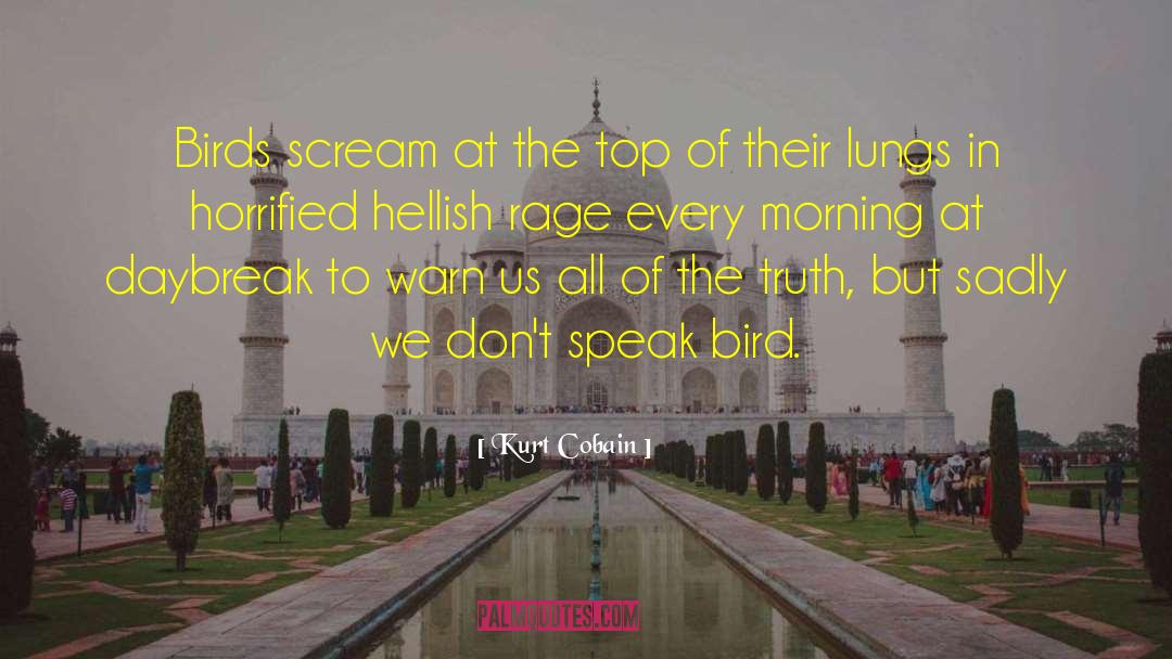 Birdsong quotes by Kurt Cobain