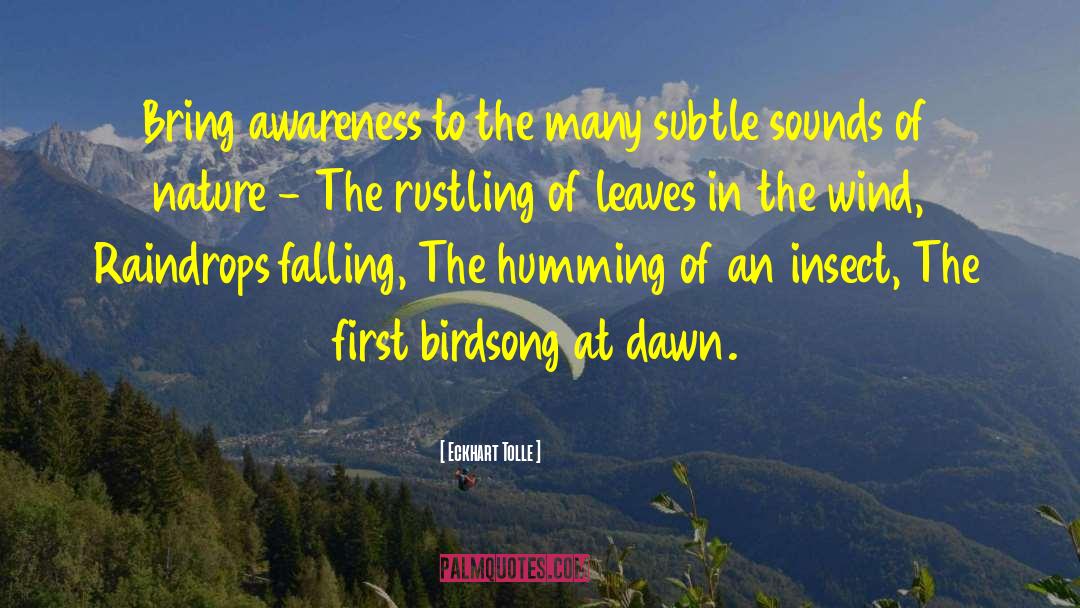 Birdsong quotes by Eckhart Tolle