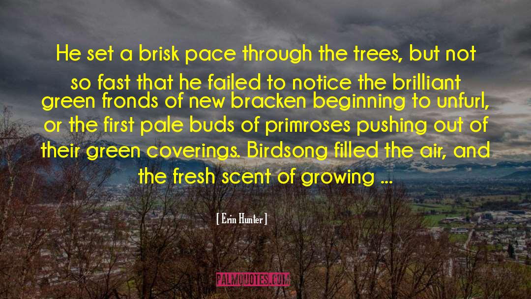 Birdsong quotes by Erin Hunter
