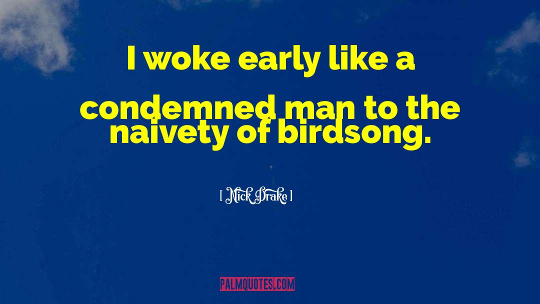 Birdsong quotes by Nick Drake