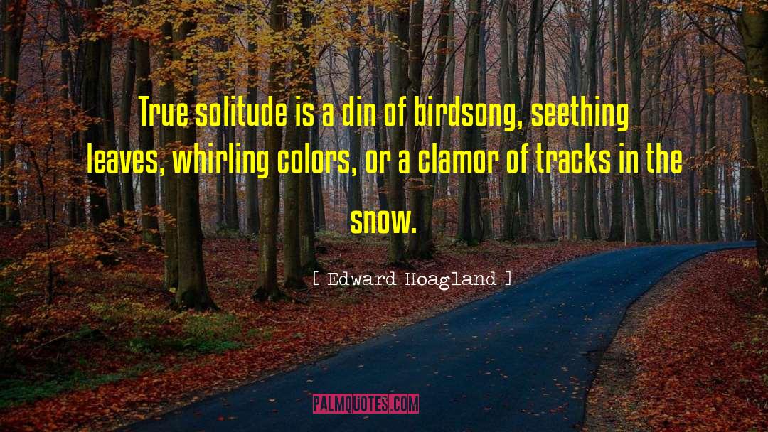 Birdsong quotes by Edward Hoagland