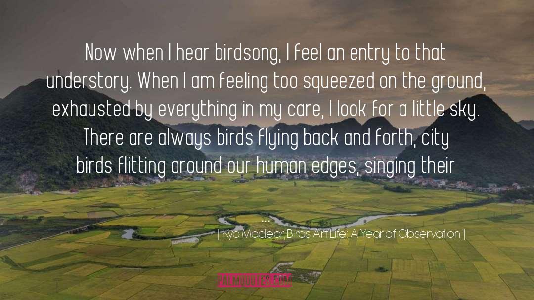 Birdsong quotes by Kyo Maclear, Birds Art Life: A Year Of Observation