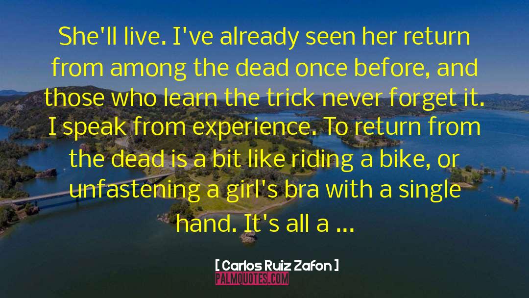 Birgfeld Bike quotes by Carlos Ruiz Zafon