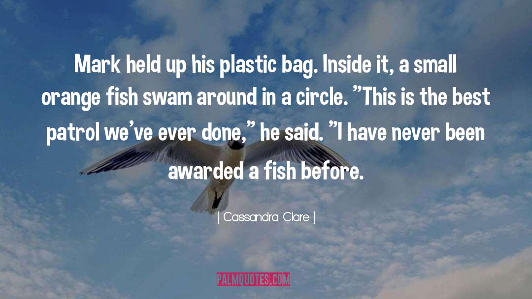 Birkin Bag quotes by Cassandra Clare