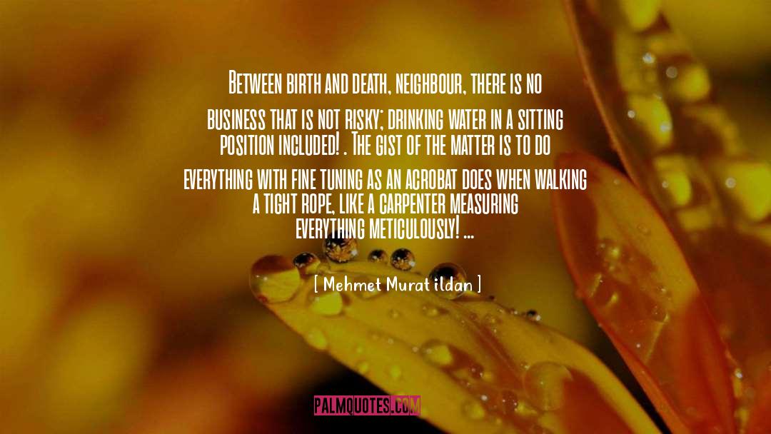 Birth And Death quotes by Mehmet Murat Ildan