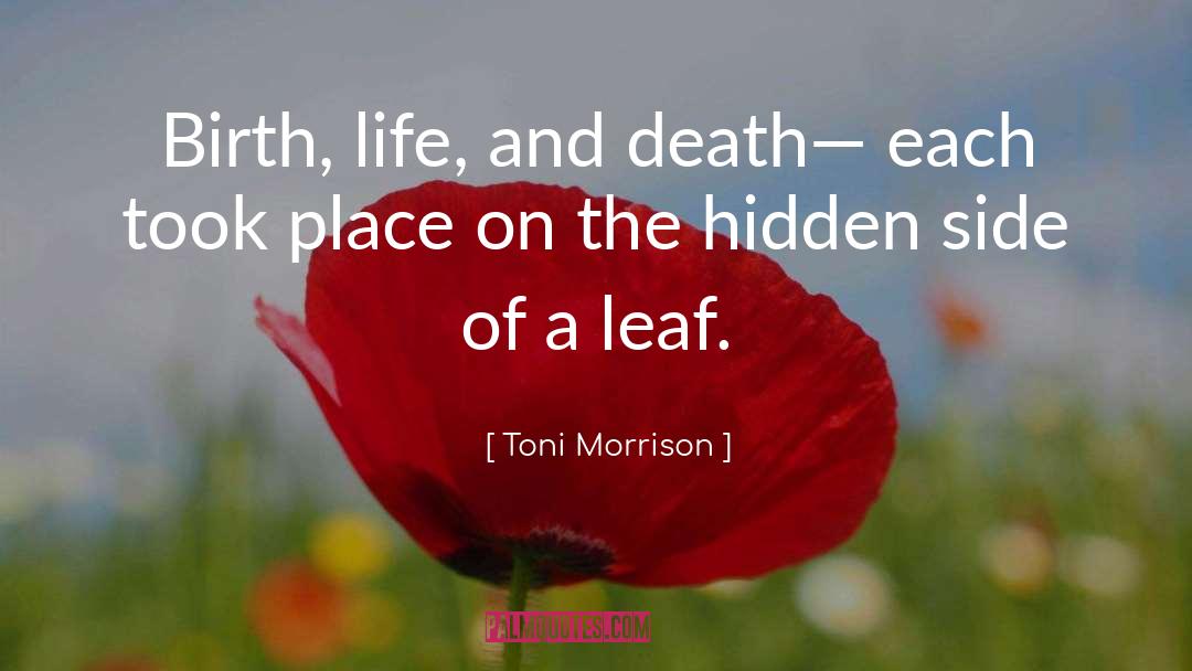 Birth Life quotes by Toni Morrison