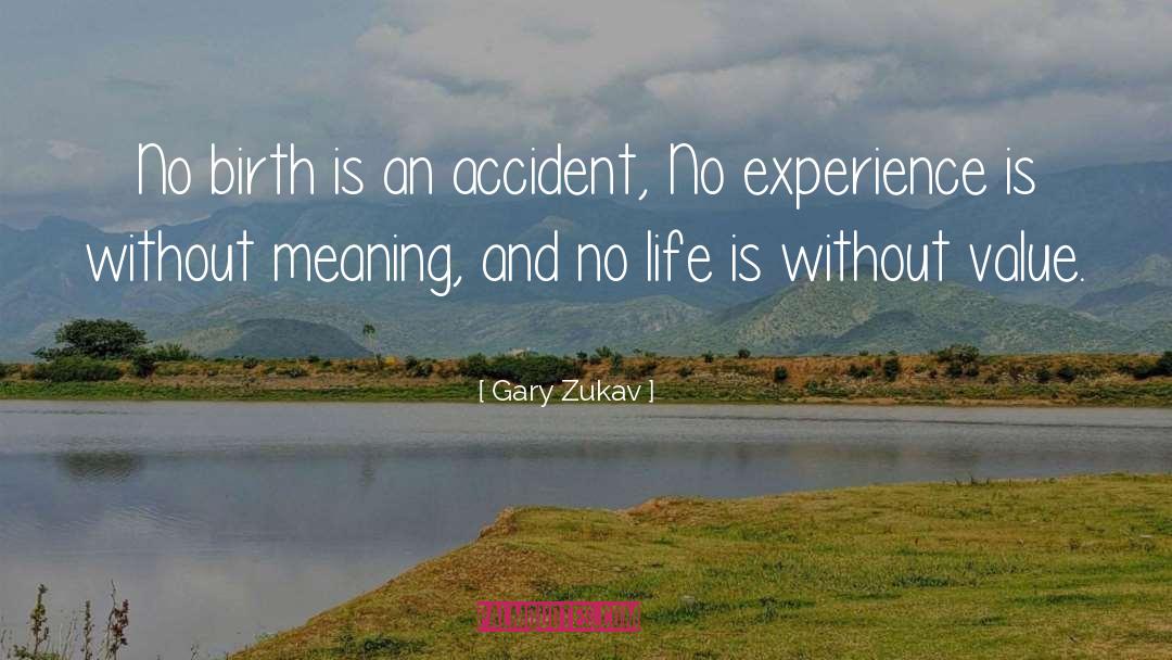 Birth Life quotes by Gary Zukav