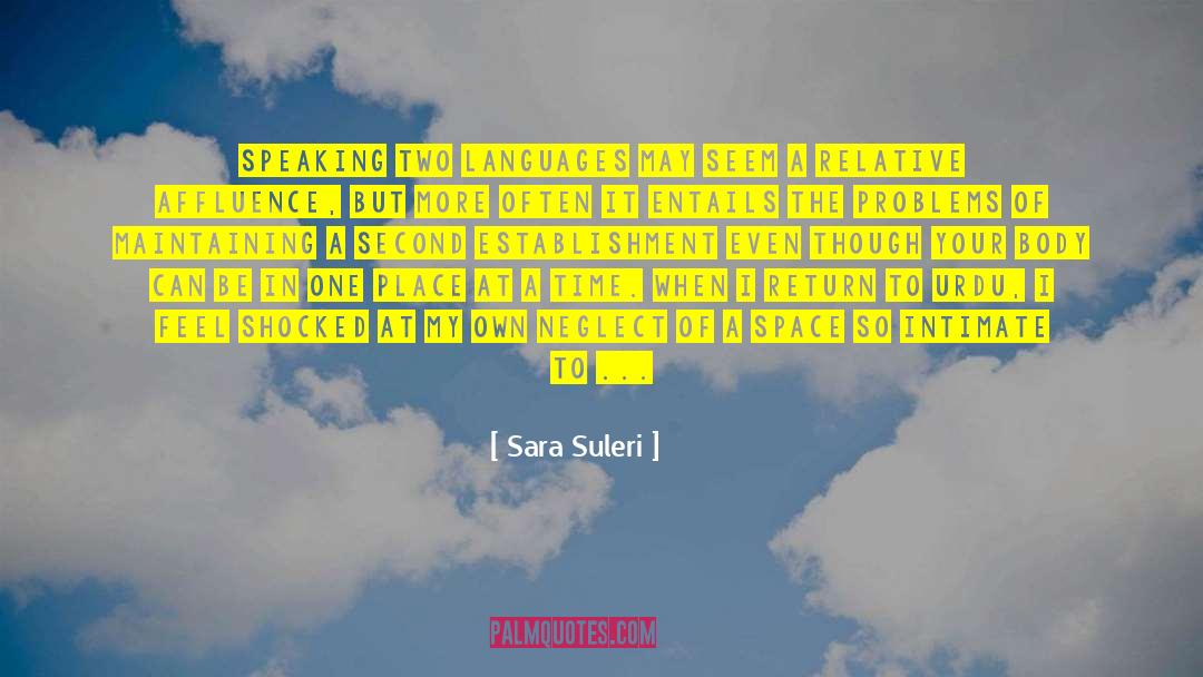 Birth Mother quotes by Sara Suleri