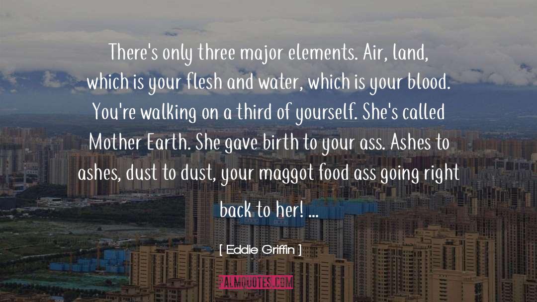 Birth Mother quotes by Eddie Griffin