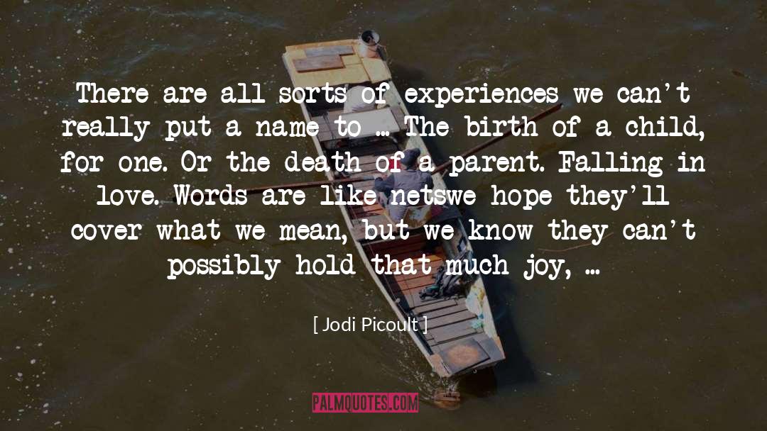 Birth Of A Child quotes by Jodi Picoult