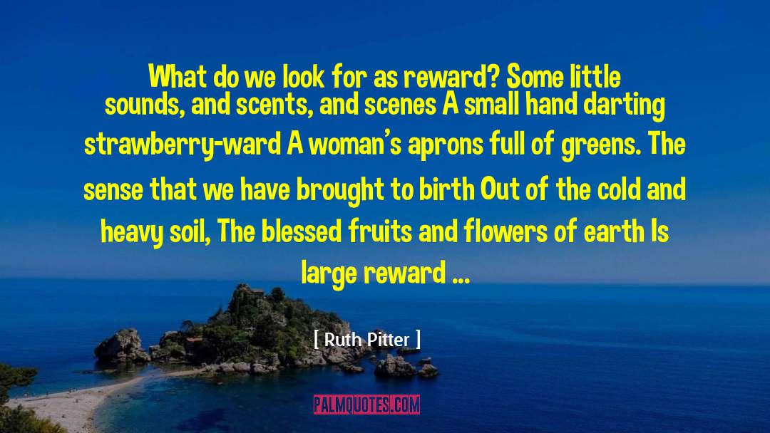 Birth Of A Nation quotes by Ruth Pitter