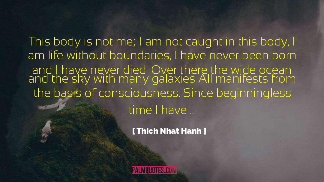Birth Of Tragedy quotes by Thich Nhat Hanh
