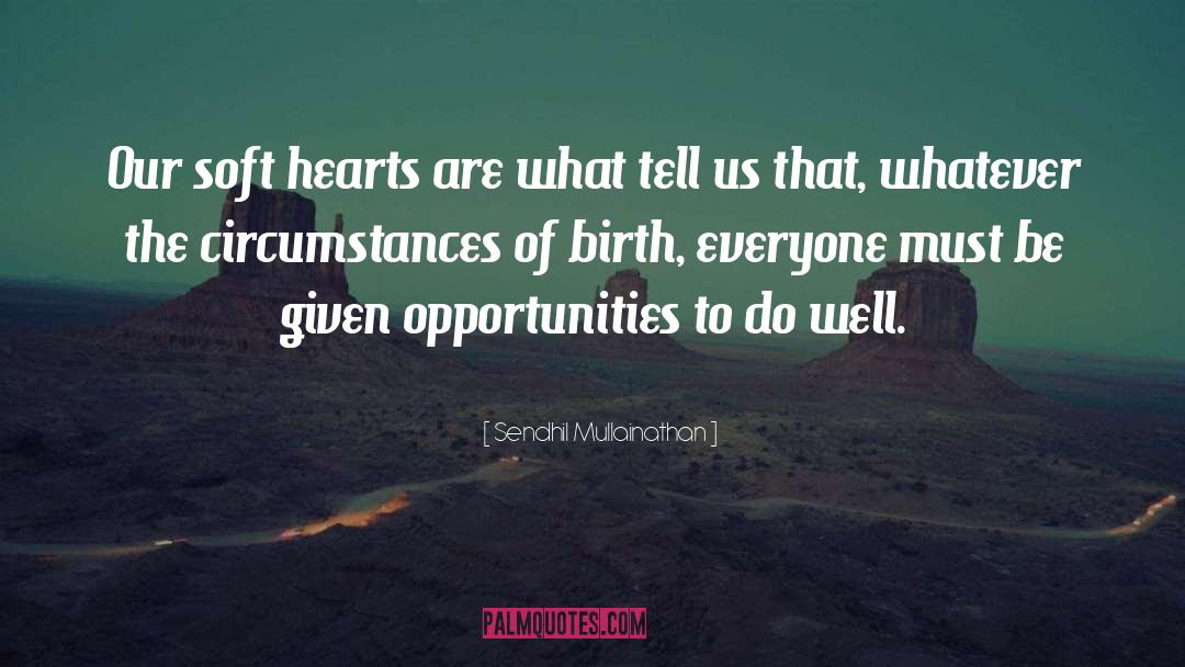 Birth Parents quotes by Sendhil Mullainathan