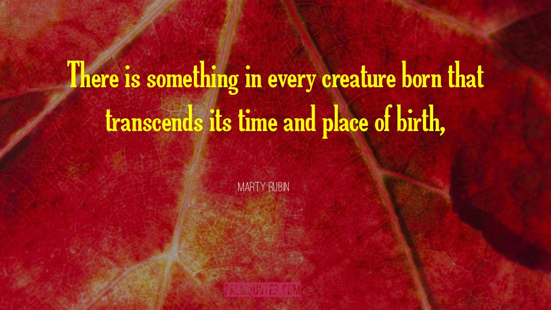 Birth Place quotes by Marty Rubin