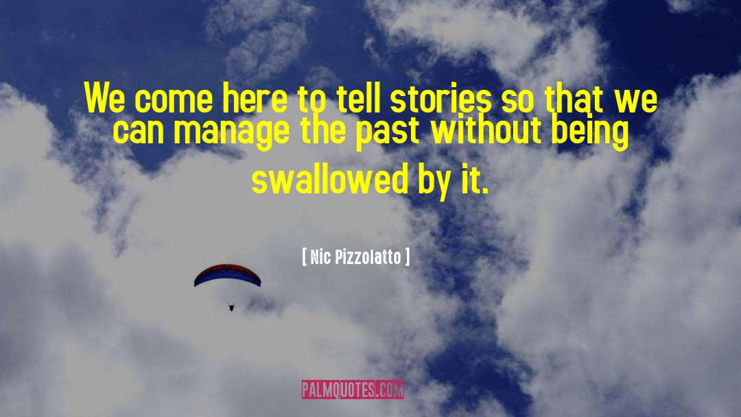 Birth Stories quotes by Nic Pizzolatto