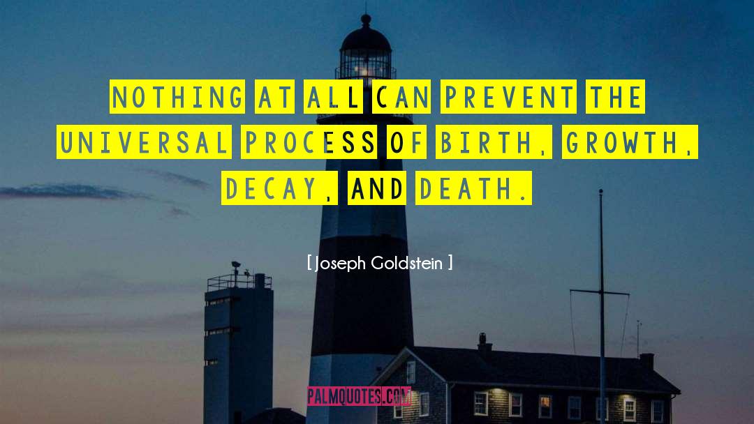 Birth Totem quotes by Joseph Goldstein