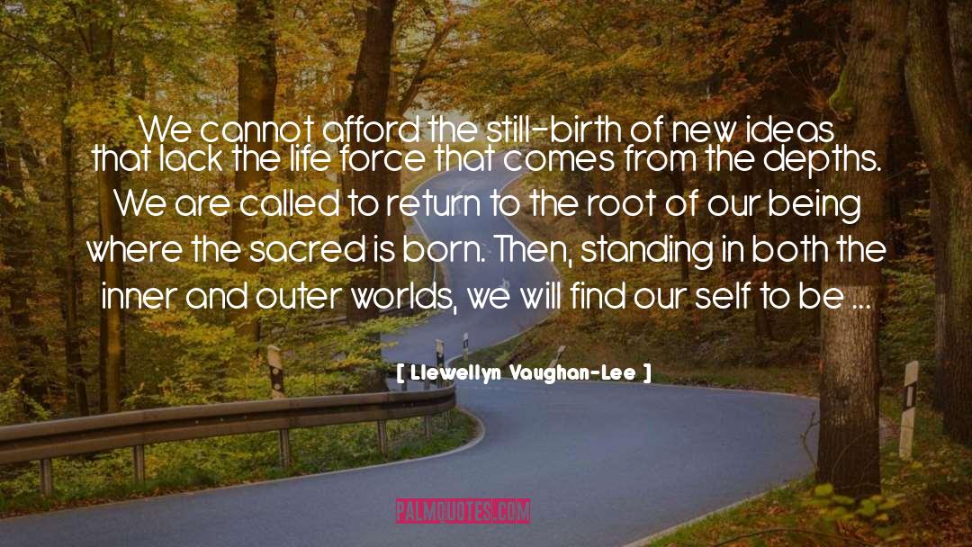 Birth Totem quotes by Llewellyn Vaughan-Lee