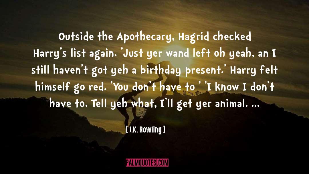 Birthday Present quotes by J.K. Rowling